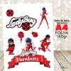Ladybug - Imagem 2